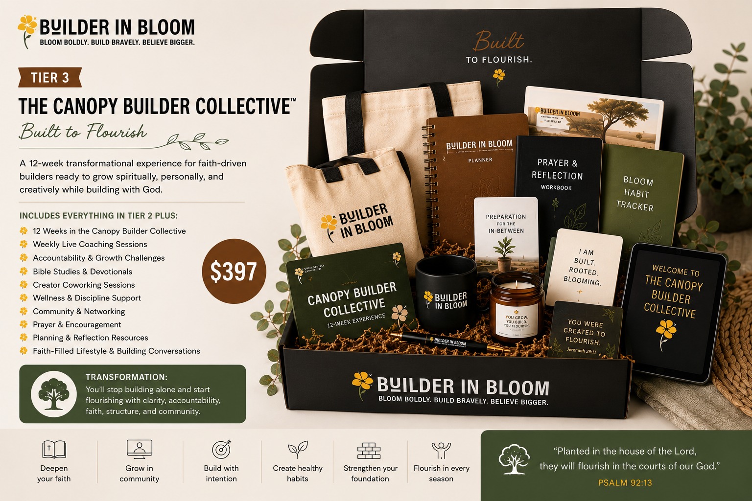 Canopy Builder Collective — full box contents spread out flat lay