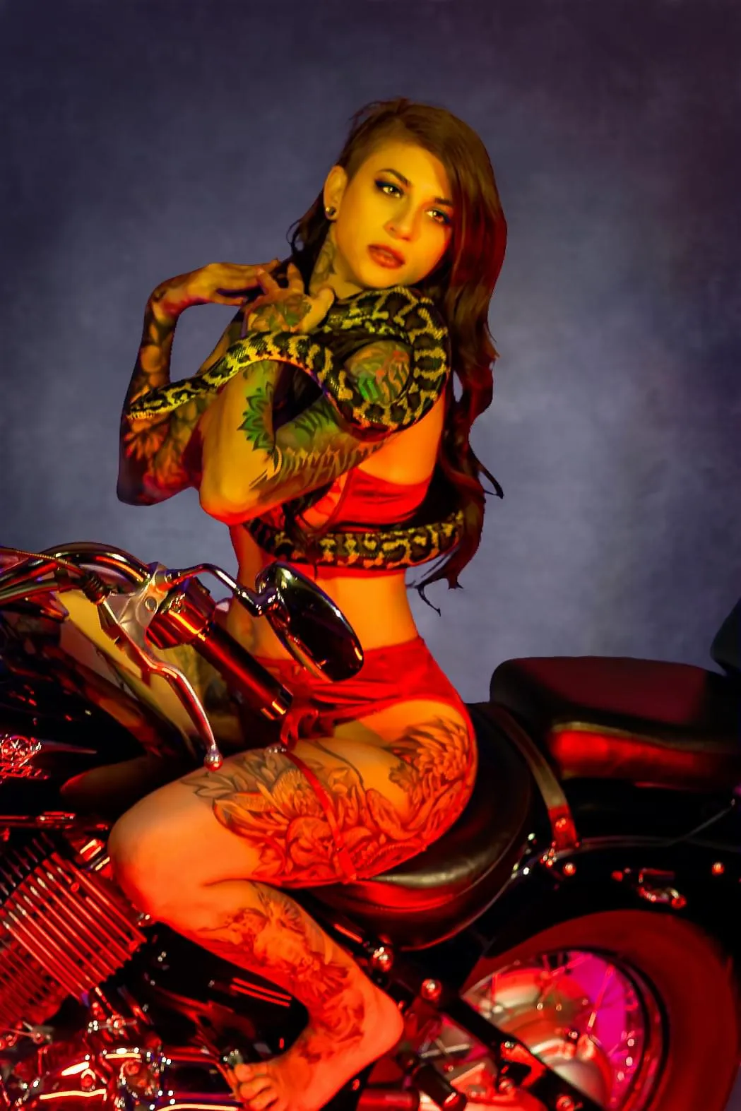 Motorcycle studio portrait